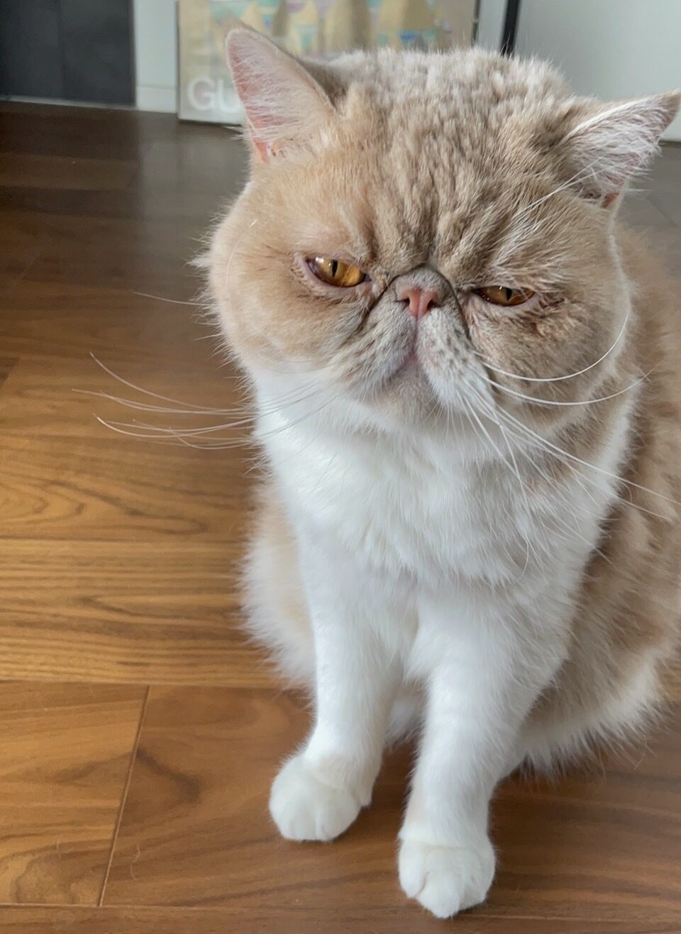 種田 宏美さんの趣味・特技の写真1
